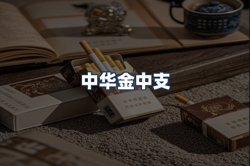 中华金中支